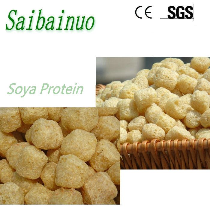 Soya Protein Manufacturing Machinery